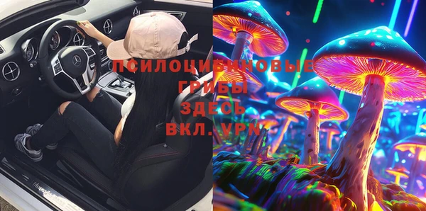 мдма Новозыбков
