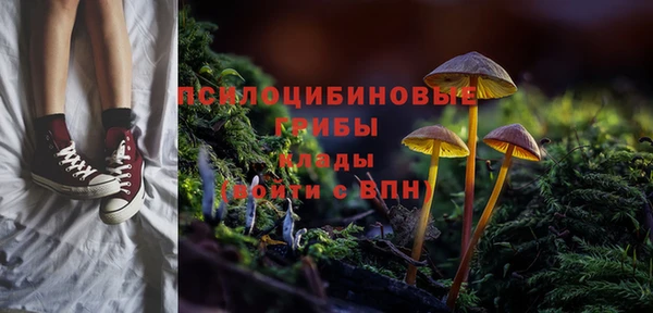 гашишное масло Новодвинск